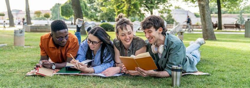 Students relaxing and studying together in the park