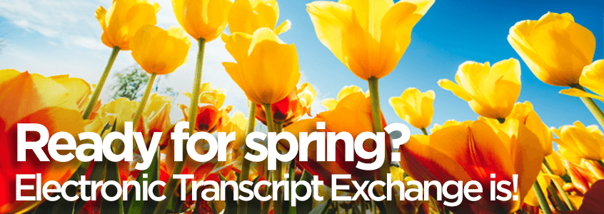 Beautify Your Transcripts with ETX's New Features Beautify Your Transcripts with ETX's New Features