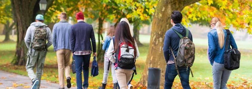 Mental health professional advising to students