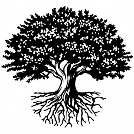 msapplication-TileImage