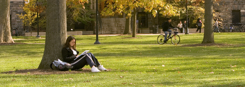 Higher Ed Enrollment Continues Its Comeback After Pandemic-Era Dip